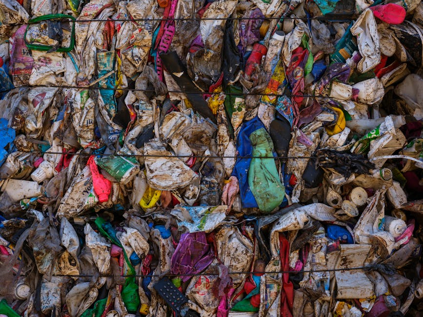 A green outdoor clothing collection and recycling bin positioned on a paved surface against a backdrop of dense greenery and foliage. The bin features Chinese characters and is divided into sections, 